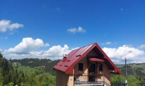 Seosko-turističko domaćinstvo Bojovići-Vila Mica